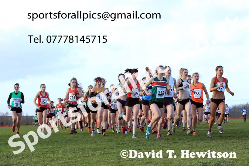 Senior womens 2022 Northern Cross Country Champs., Pontefract. Photo: David T. Hewitson/Sports for All Pics